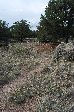 11_2008-0830-1548-24.jpg